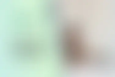 Case Study - Writing with LittleLit AI