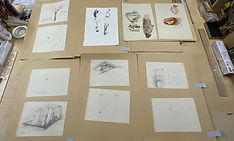 IMG_8883.jpeg
