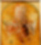 堕天使.jpg
