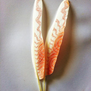 Feathers