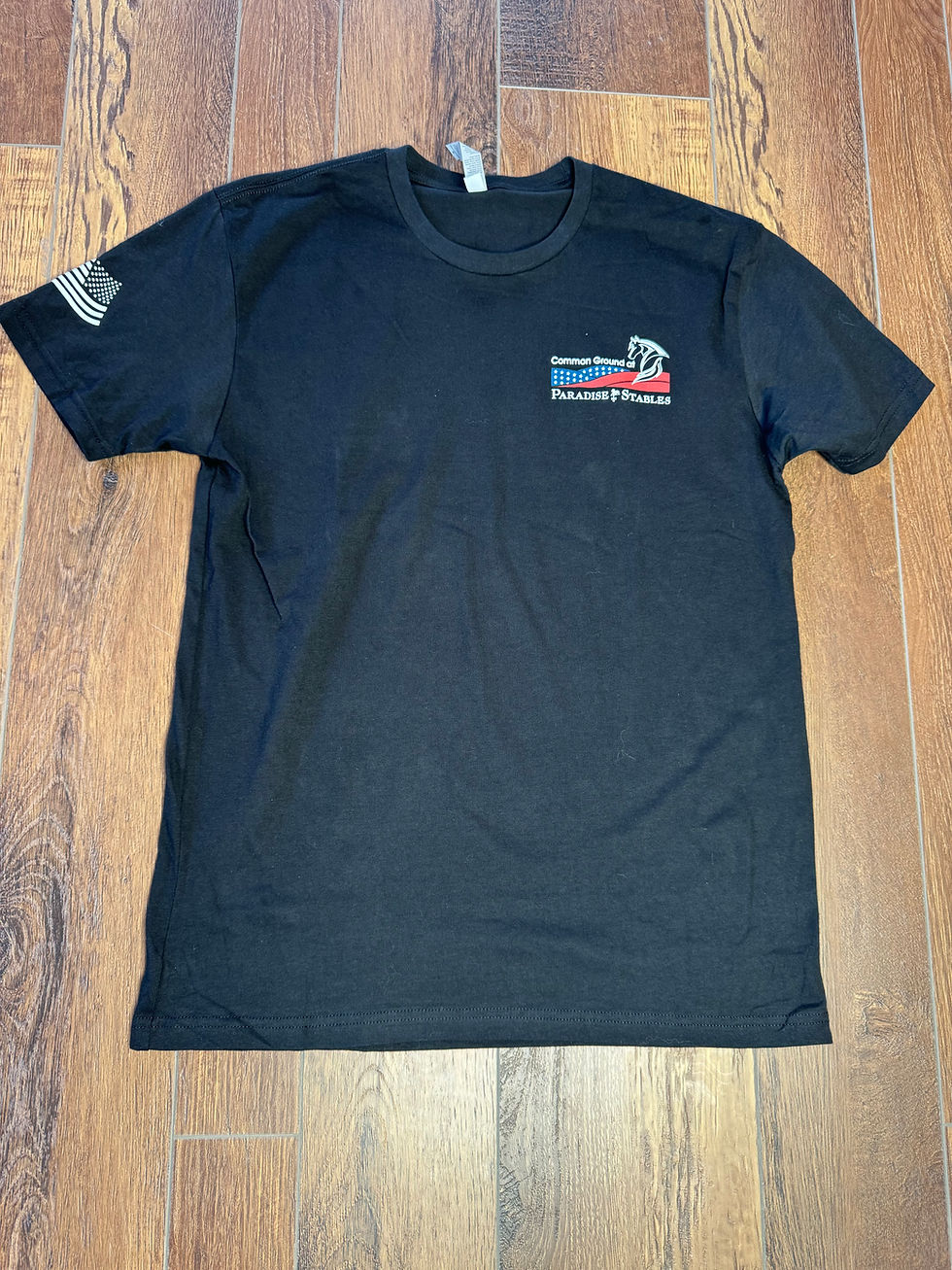 Thumbnail: NL Men's Crew T-Shirt