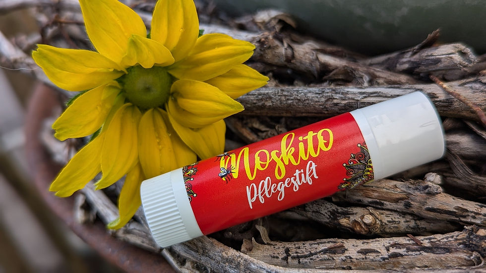 PXL_20241013_133437333_edited