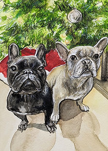 2023.11.23 Milo and Mia. Michael Harney.jpg