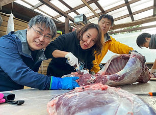 鹿肉解体　藤巻果林小林.jpg