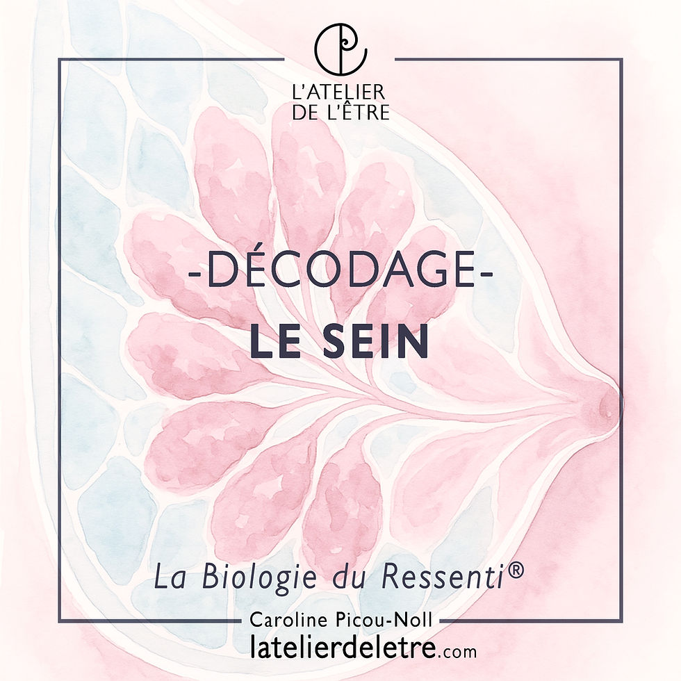 Décodage sein Caroline PICOU NOLL