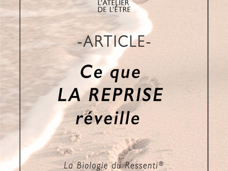 Décodage Caroline PICOU NOLL