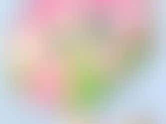 2023年度 入試の風景(中間報告)