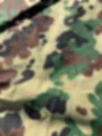 Thumbnail: Romanian Plash Palatka/Shelter Half