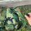 Thumbnail: CFP-90 US Pack