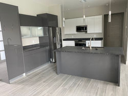 Gloss gray and Gloss white Kitchen 