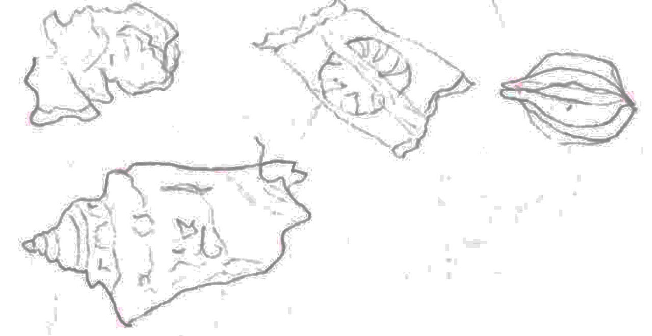 group 2 design