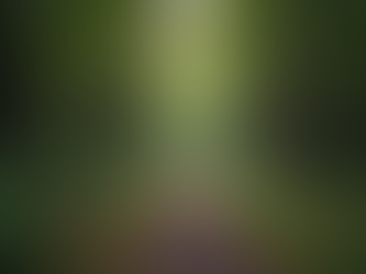 Psicologia Junguiana: Entendendo Seu Mundo Interno