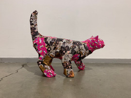 Kitty Kitty