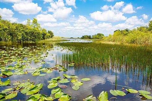 AquaticHabitats3.jpg