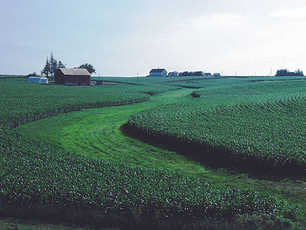 grassed waterways (ESC).jpg