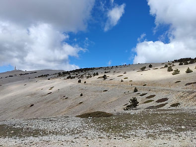 ventoux1.JPG