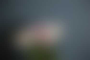 Popcorn and Portraits