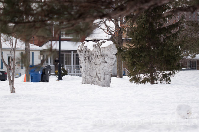 Robin's and Dragons - A Valentine Photowalk