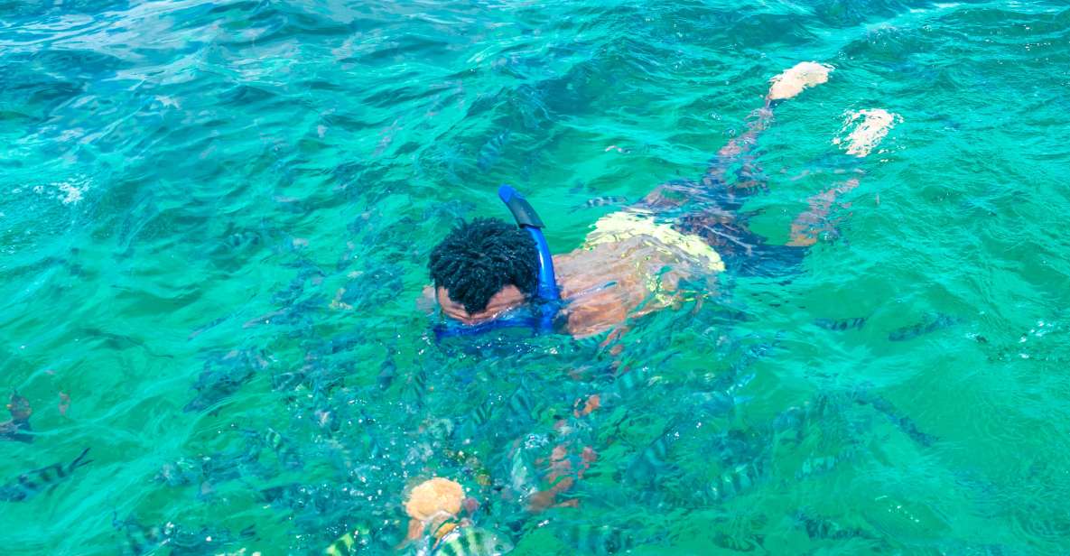 Watamu Wild & Marine Safari.jpg