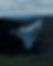 Sequence 29.00_00_01_13.Still139.png