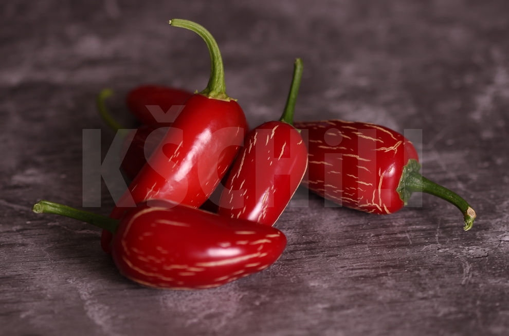 "Tam Jalapeno" Hot Chili Pepper 8 Seeds (Capsicum Annuum)