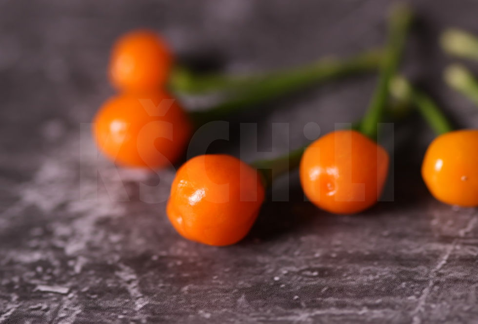 Thumbnail: "Aji Charapita" Pepper 8 Seeds (Capsicum Chinense)