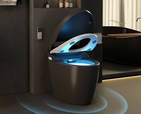 New automatic toilets.jpg