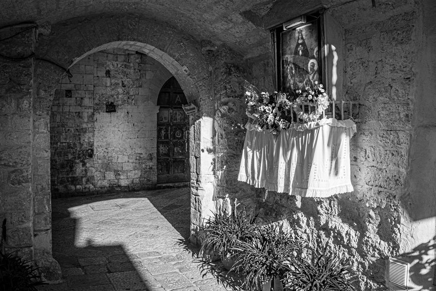 DSC_3808 copia.jpg