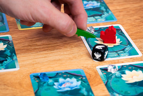 A player moving the pike meeple