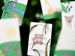 Flower Cards