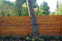 palissade en bois.
Palissade autour d'un arbre.