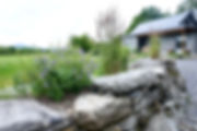 DSC06392.jpeg