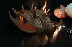 Wicked Habitat 8-1024x682.jpg