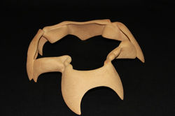 portal (1)-1024x682.jpg