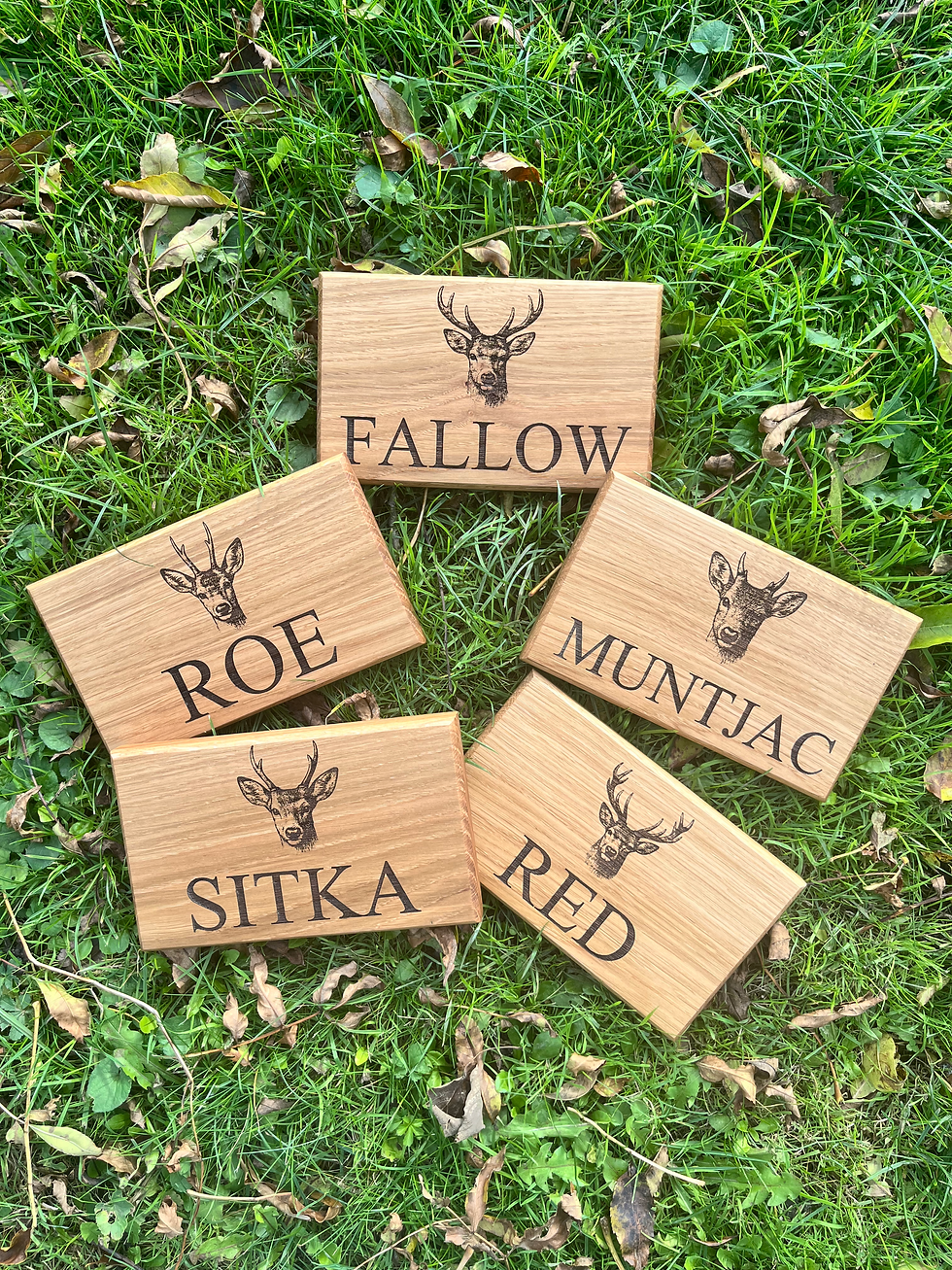 Thumbnail: Personalised Oak Indoor Door Signs