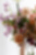 ClarePravato_Floral_Bryde_CarliJeen_2024-40.jpg