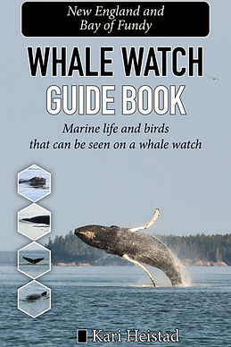 Whale Watch Guide Book