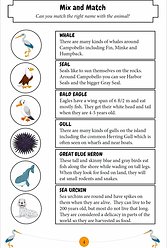 Campobello Kids Activity Book Mix and Match.png