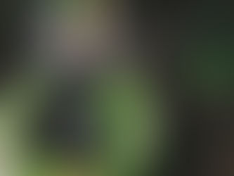 Liquid Consciousness: Water