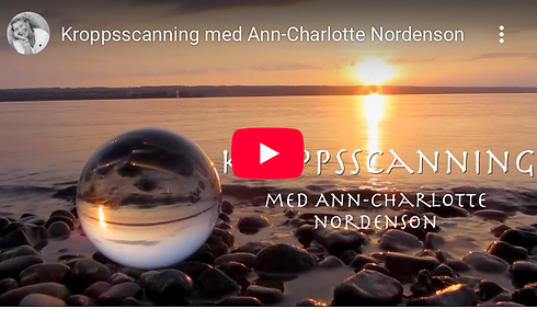 Skärmavbild 2025-10-27 kl. 17.48.48.png