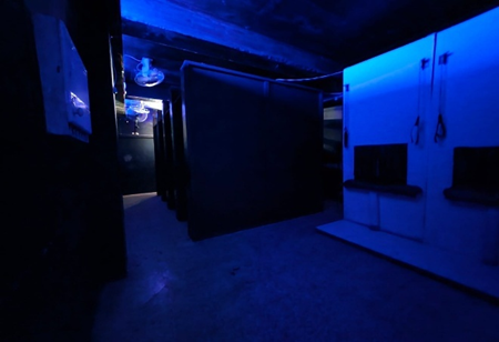 Diagnóstico: desinformación