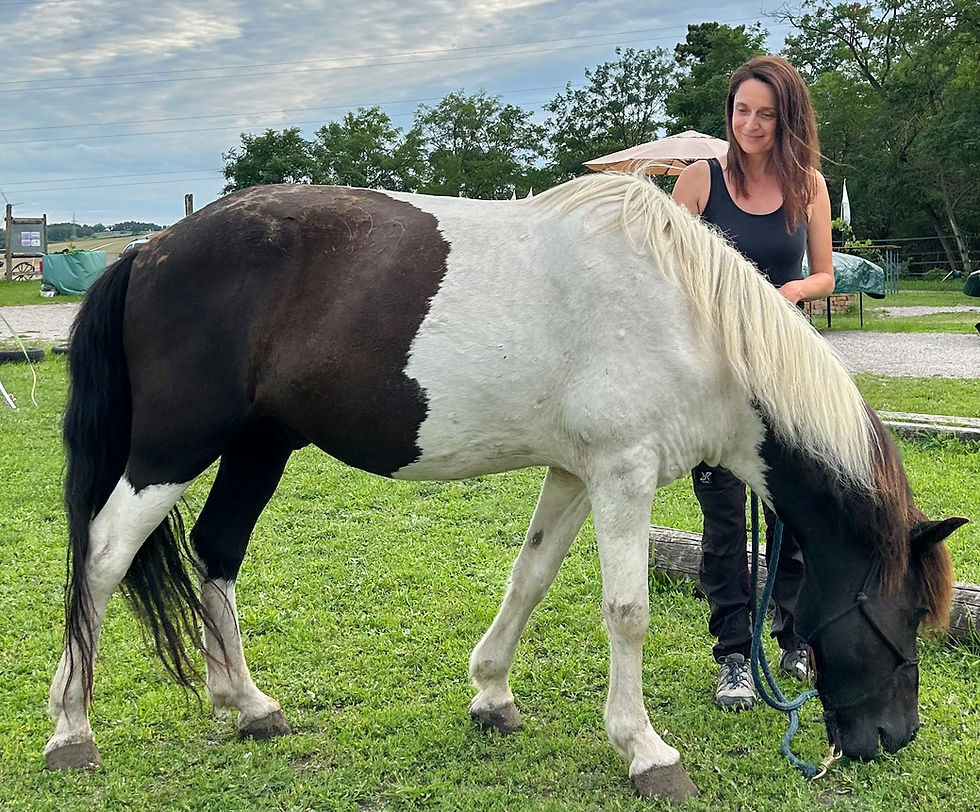 Was mir kein Seminar beibringen kann 