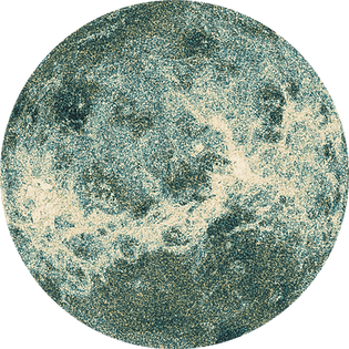 Venus 1.png
