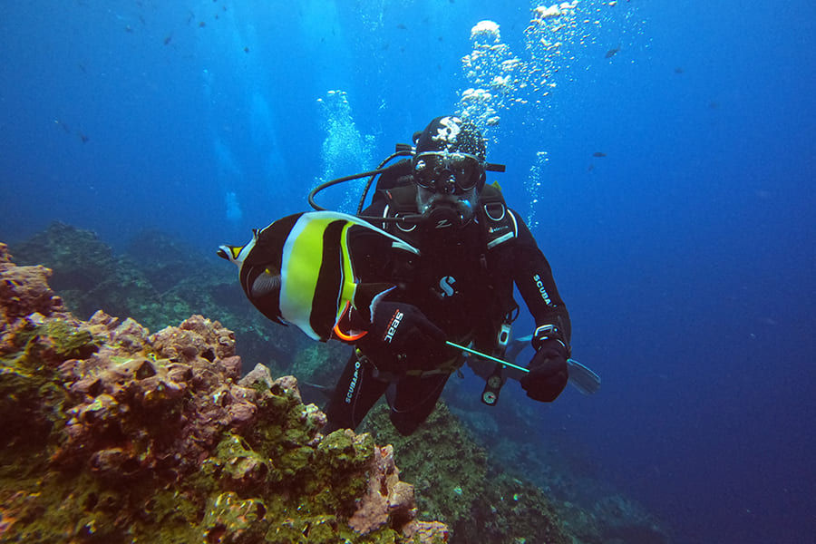 Scuba diving jpg