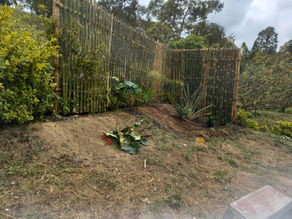 DESDE COLOMBIA, ARABIA, VEREDA PÉREZ ALTO