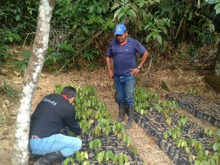 DESDE VENEZUELA, Municipio Fernández Feo.