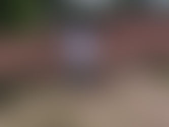 DESDE GUATEMALA, San José Villa Nueva