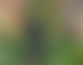 DESDE COLOMBIA, CALI, VALLE DEL CAUCA