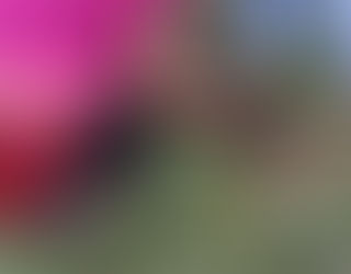 DESDE MÉXICO, ESTADO DE VERACRUZ, MUNICIPIO: ATZALAN. COMUNIDAD: PAHUA HUECA