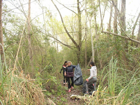 DESDE ARGENTINA, TIGRE, BUENOS AIRES